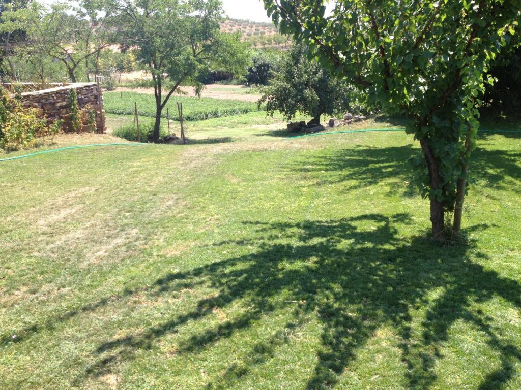 Hotel Quinta Da Pereira E Enricas Agro-Turismo Vila Flor Exteriér fotografie